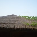 초가집 농장 이미지