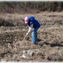 에코농장 이미지