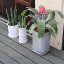 카페카사비앙카 이미지