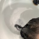 정아 | 군자역 미용실 히피펌 후 손상없는 매직셋팅 솔직후기 :: 헤어온드유 정아실장