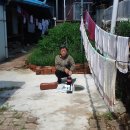 박순원 에스앤비의원 이미지