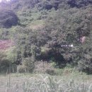 금밭농장 이미지