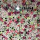 초아펜션