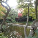 도쿄 여행11 - 도쿄대학을 뒤로 하고 고라쿠엔 정원에 가다! 이미지