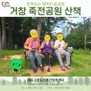 생활속의 조경이야기(주간) | 25.09.20~22 🍂거창 죽전공원 산책 [거창주간보호 365고운노인주간보호센터]