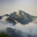 (주)삼흥관광