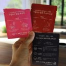 일출랜드식물원 | 제주 여행 | 일출랜드 제주 동백 족욕 카페 쉬멍 방문후기