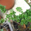 와우농장 이미지