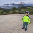 성현목장 이미지