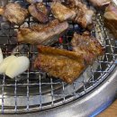 산호갈비 이미지