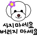 함께할 개 이미지