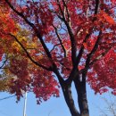 지에스(GS)25 계림푸른길점 이미지