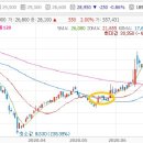 대박양봉 이미지