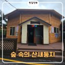 숲속둥지어린이집 | 월출산 천황사 등산 후 꿀맛! 숲 속의 산새둥지: 추억의 돈가스와 대추차 맛집