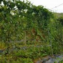 만복농장 이미지