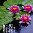 우아하고 멋진 노후를 위하여 이미지