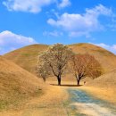 첨성대 화장실 이미지