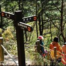 삽시도둘레길 이미지