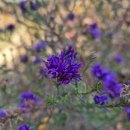 해설이 있는 명화아카데미 | 강화도 전등사 가을여행 후기｜서울경제인협회 아카데미10기 워크샵