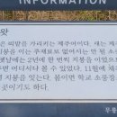 신평마을회관 이미지