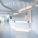 메리트원 동물의료센터 이미지