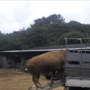 용암농장 이미지