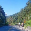 유현교차로 이미지