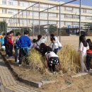 교동정미소 이미지