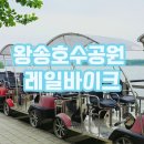왕송호수공원 레일바이크 후기｜돌쟁이와 가기 좋은 나들이 코스 총정리