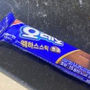 펀비어킹복정동 | 257일차