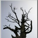 안성면017 이미지