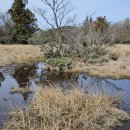 보림농장 이미지