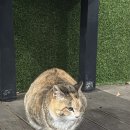 무주펜션 그랜드 이미지