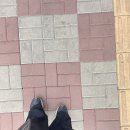 널커피(NULL COFFEE) 이미지