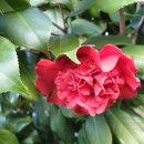 토종목장 이미지