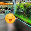 장미치과의원 이미지