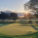 CLUB S 골프클럽 | [1년 전 오늘] Mimosa Plus Golf Club(미모사 플러스 골프 클럽)-Acacia Lakeview(아카시아 레이크 뷰...