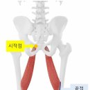 바디에이프PT&헬스 이미지