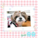 더예쁠:우리