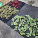 눈보농장 이미지