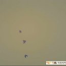 아프리카동물병원 이미지