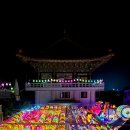 다이소경북 - 2657 | 다이소경북