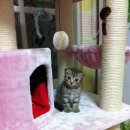 푸른동물병원 이미지