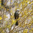 홍산보건지소 이미지