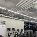 언디핏피트니스×더탠 이미지