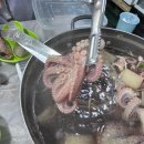 태안 식당: 안면도 수산시장 주꾸미샤브샤브 맛집 효안네 내돈내산