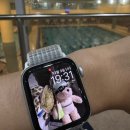 아마존스포츠 | 가성비 가민워치 추천 인스팅트 E 40mm 아마존 직구 후기