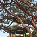 부여(백제)-05 | 부여 가을여행 부소산성 단풍 명소 후기 낙화암 가는 길 &amp; 소요시간 총정리