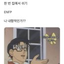 엔프피 이미지