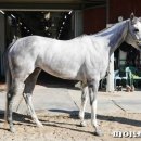 소베라니아 이미지